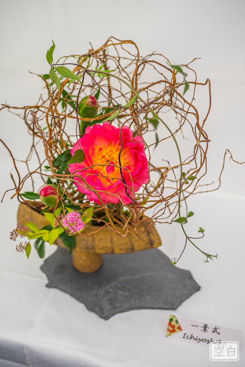 Ikebana