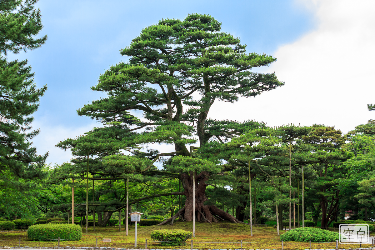 Kanazawa / Japan